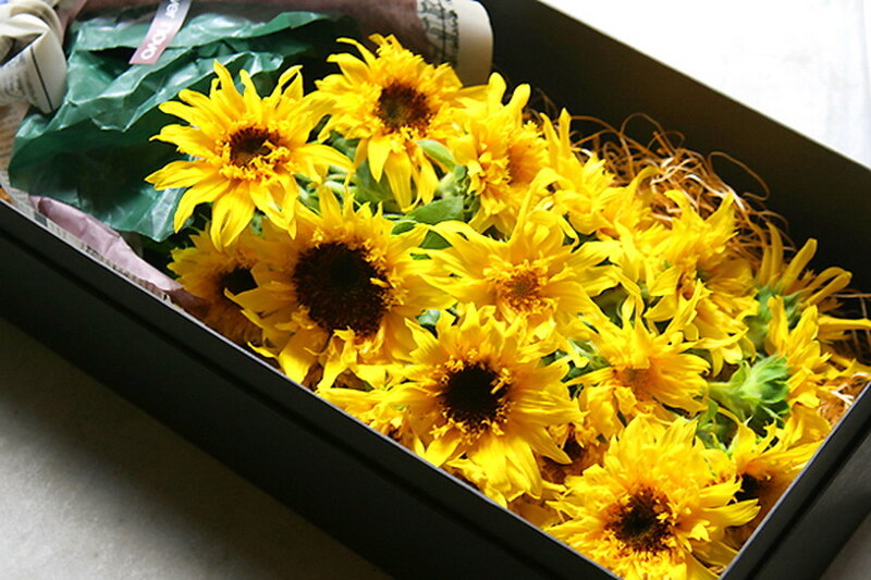 Sunflowers in a Box