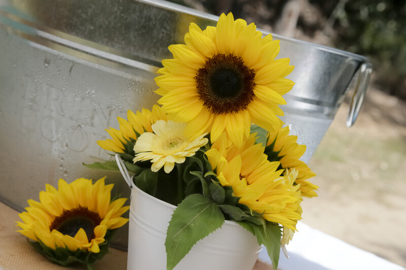 Sunflowers in a Bucket — Yellow, Calm, Afternoon