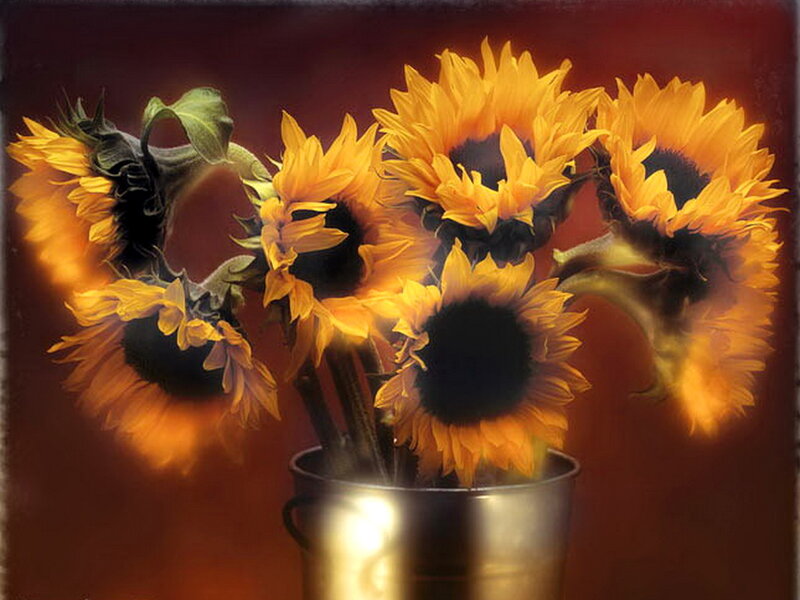 Sunflowers in a Bucket — Yellow