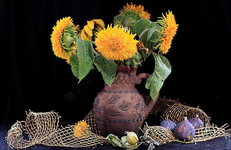 Sunflowers in a clay pitcher