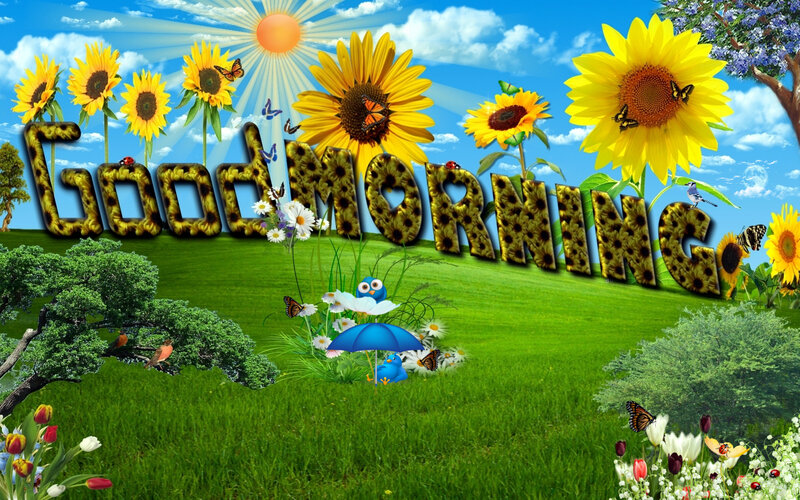 Sunflowers in a Field — Green, Cheerful