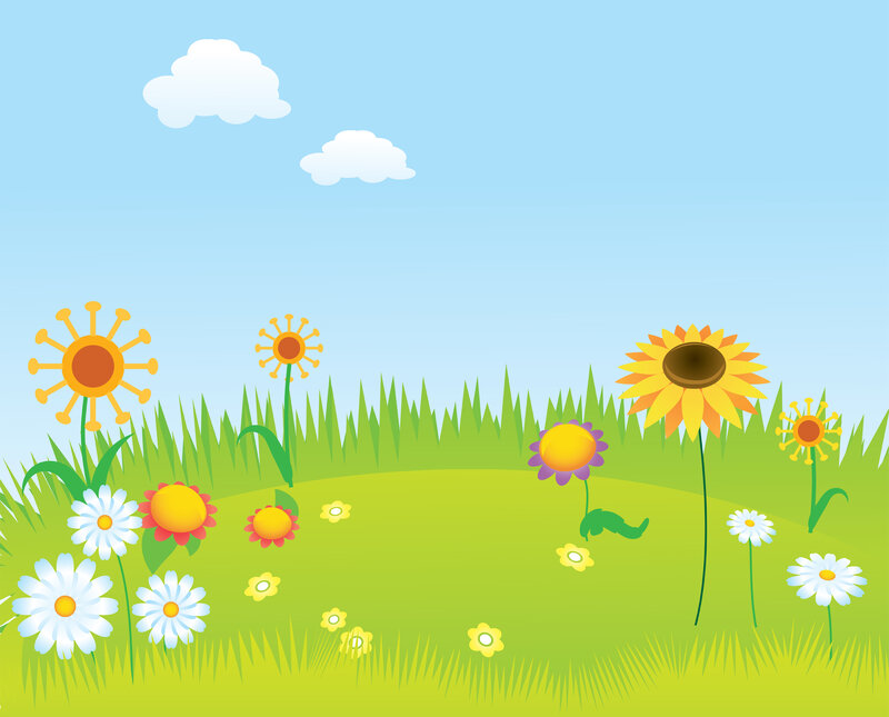 Sunflowers in a Field — Green, Serene, Afternoon