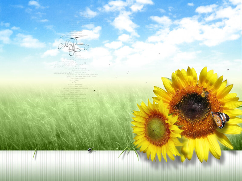 Sunflowers in a Field — Yellow, Serene, Summer