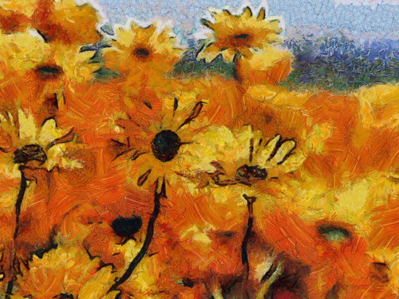 Sunflowers in a Field — Yellow, Vibrant, Afternoon, Painting