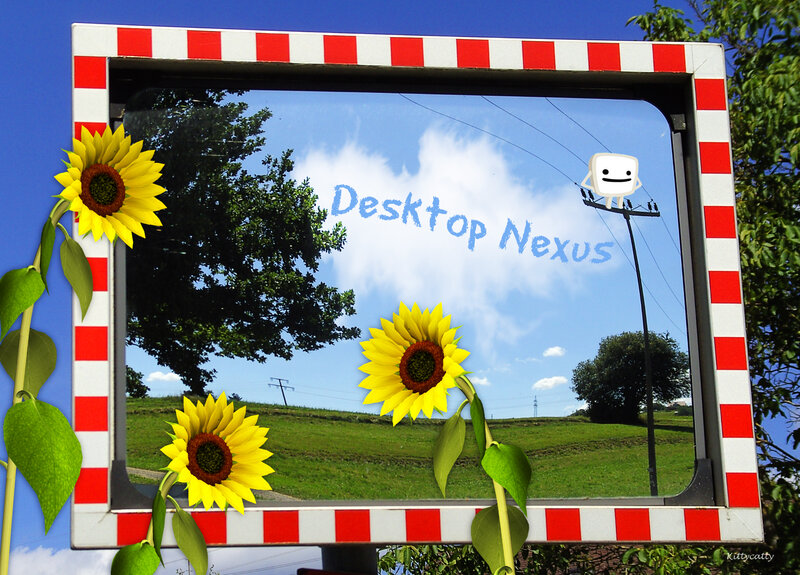 Sunflowers in a Frame