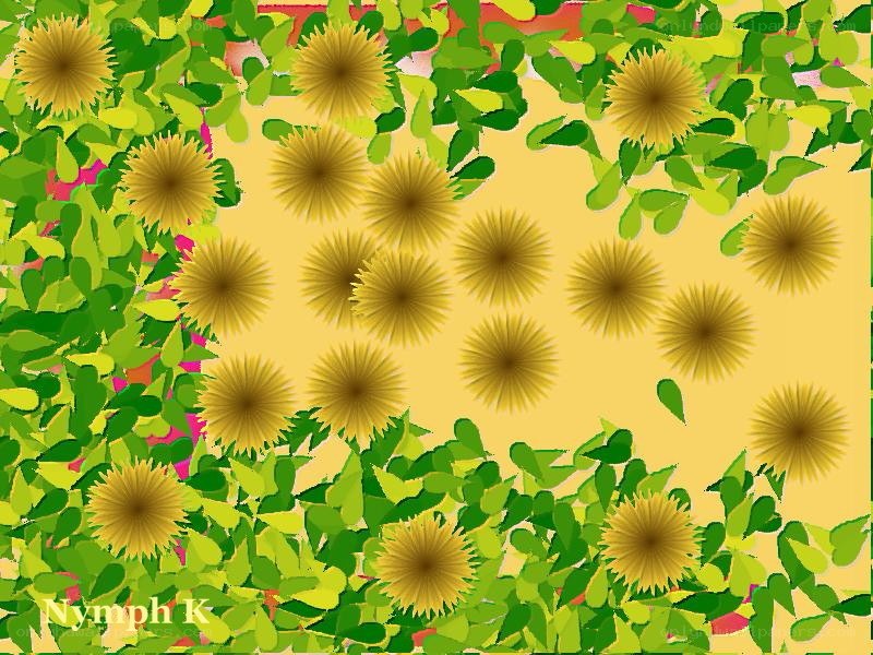 sunflowers in a garden