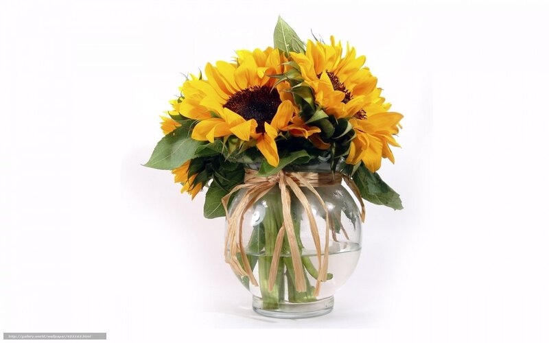 Sunflowers in a glass vase