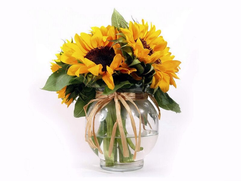 Sunflowers in a glass vase