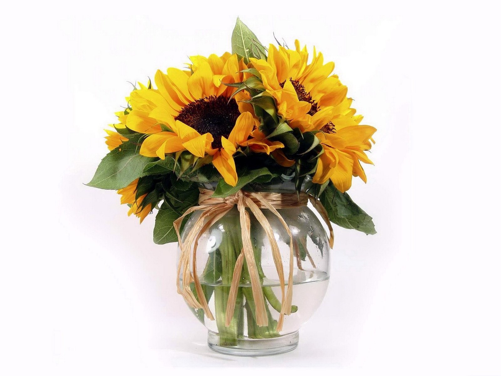 Sunflowers in a glass vase