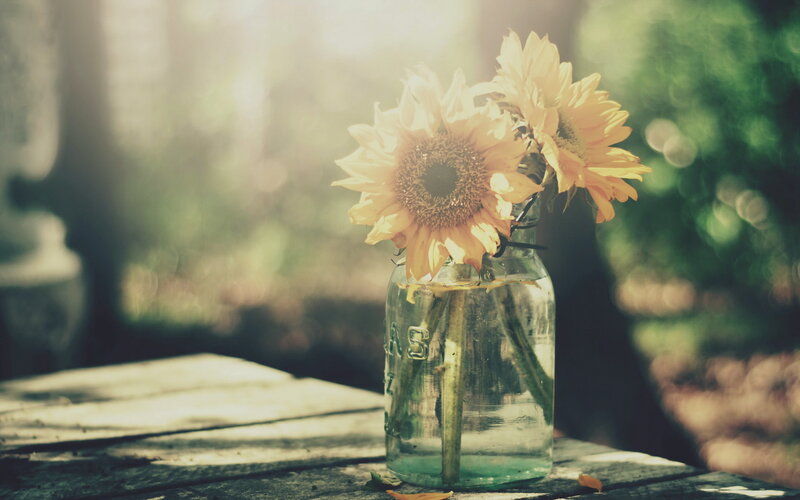 Sunflowers in a Jar — Yellow, Serene