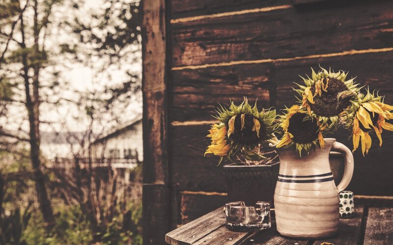 Sunflowers in a jug on a porch