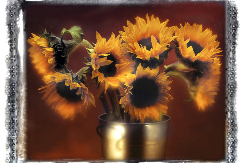 Sunflowers in a metal bucket
