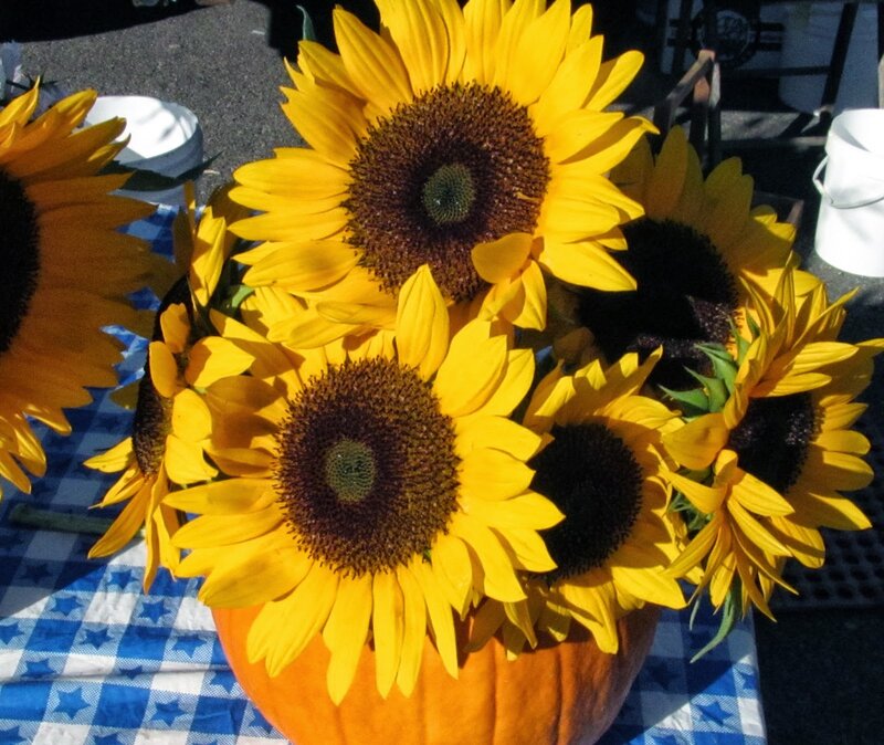 Sunflowers in a Pumpkin