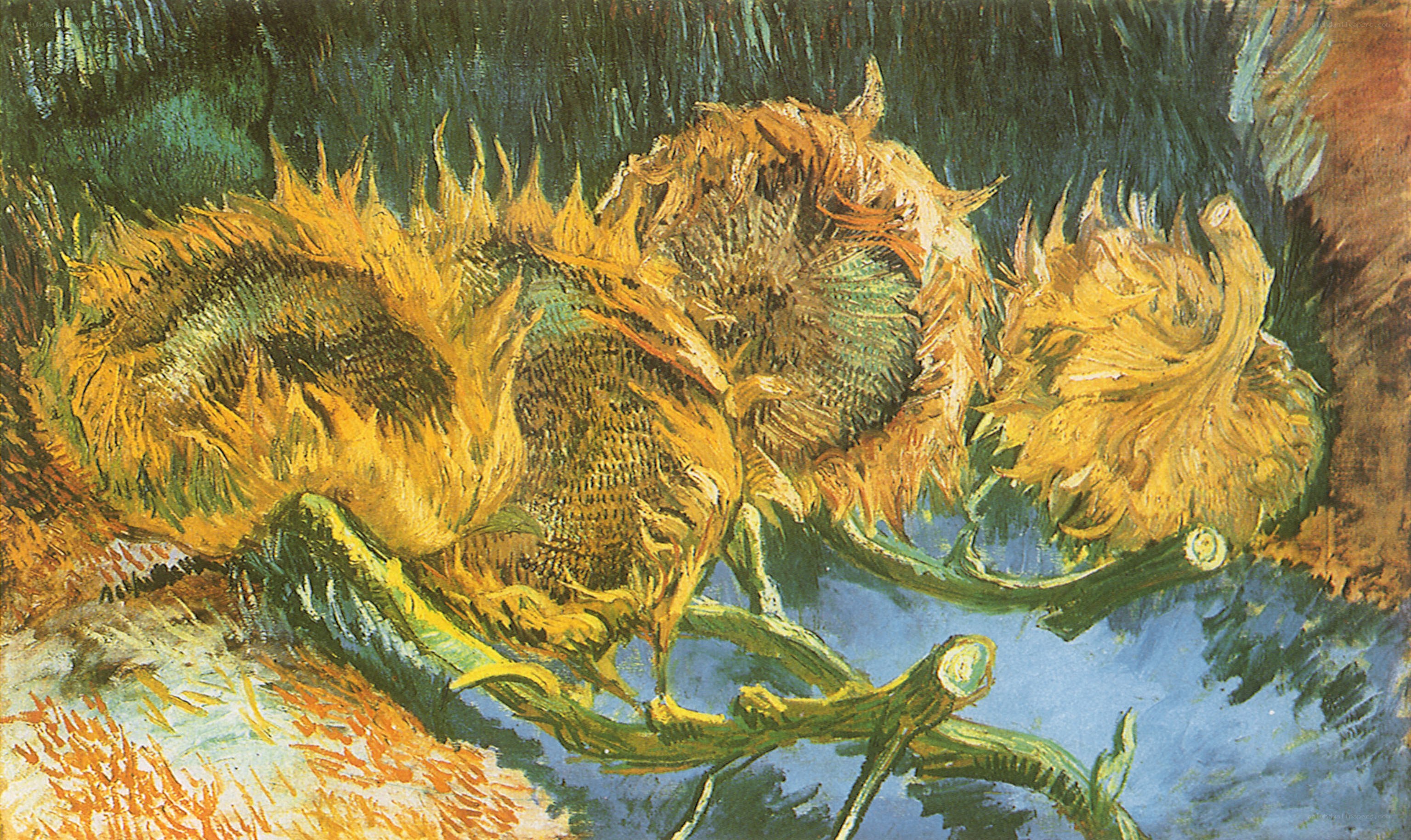 Sunflowers in a Vase
