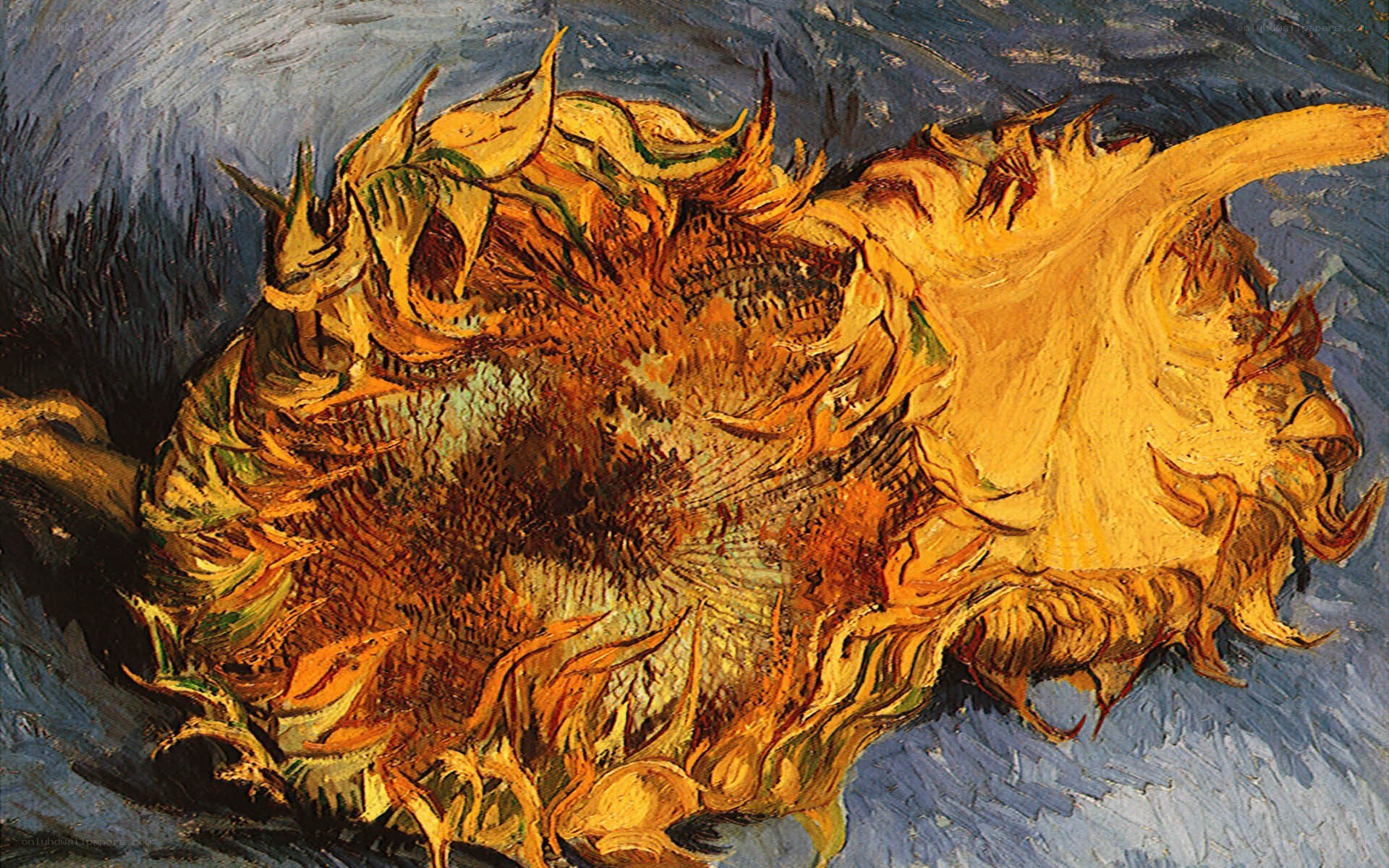 Sunflowers in a Vase