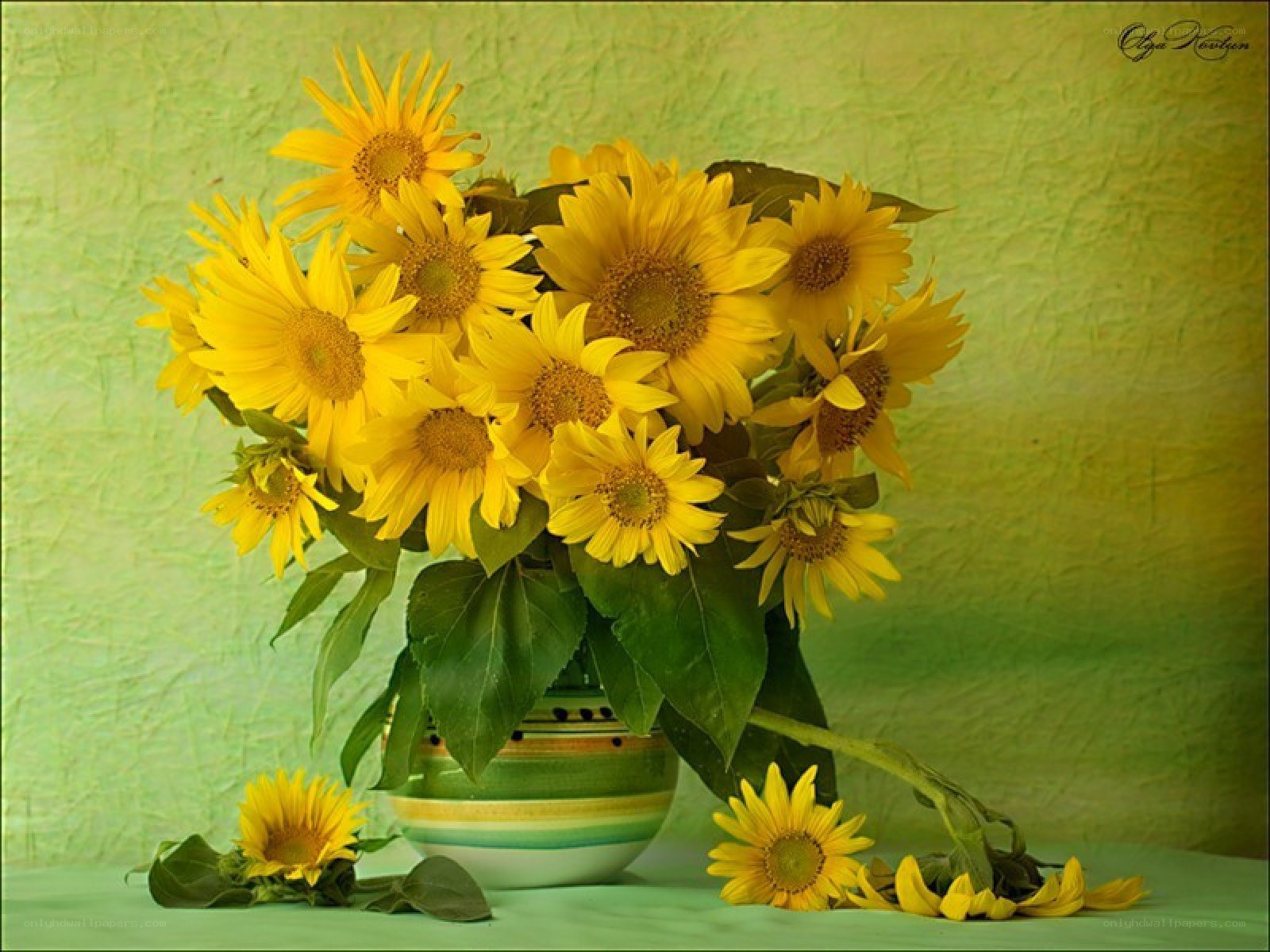 Sunflowers in a vase
