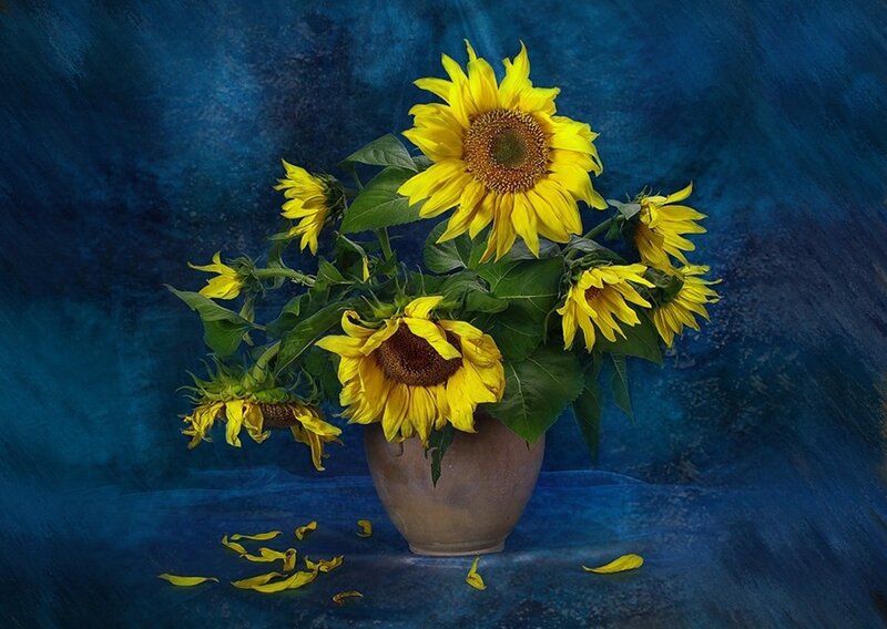 Sunflowers in a Vase — Blue, Dramatic