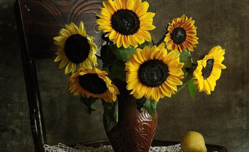 Sunflowers in a vase