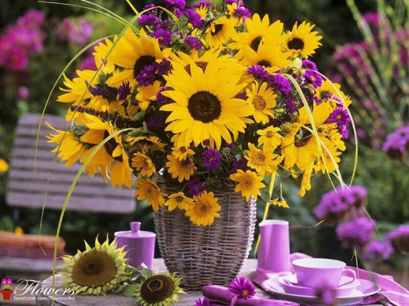 Sunflowers in a Vase — Yellow, Bright, Afternoon, Photograph