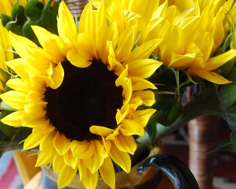 Sunflowers in a Vase — Yellow, Bright, Photograph