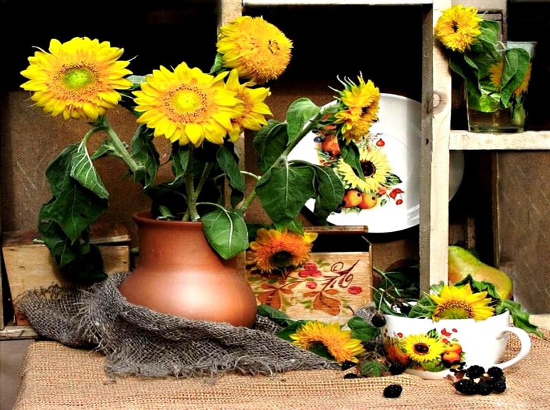 Sunflowers in a Vase — Yellow, Calm, Afternoon, Photograph, Cup