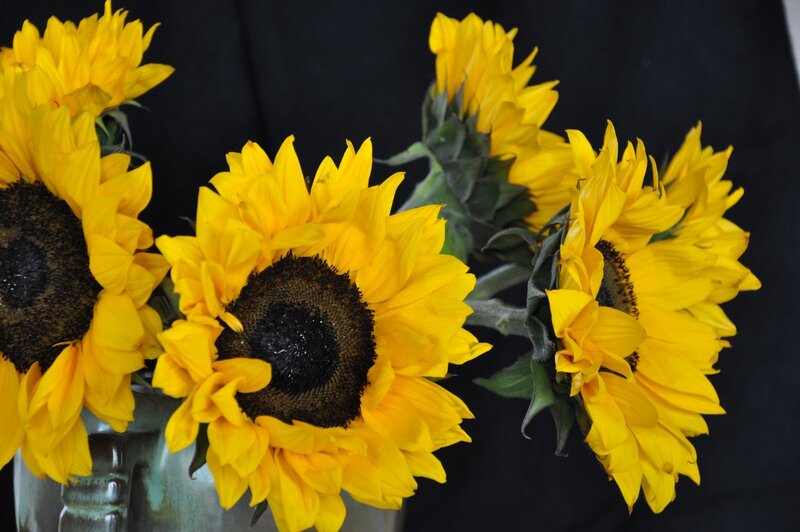 Sunflowers in a Vase — Yellow, Calm, Photograph, Black Background