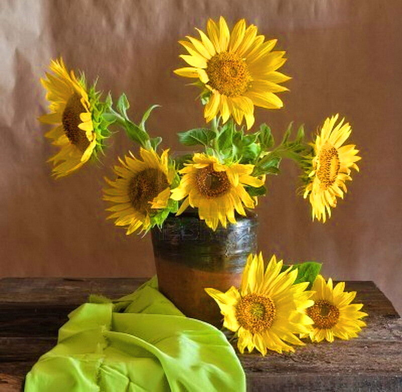 Sunflowers in a Vase — Yellow, Calm, Photograph, Cloth