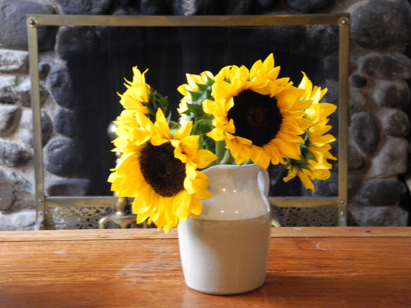 Sunflowers in a Vase — Yellow, Calm, Photograph, Fireplace Screen