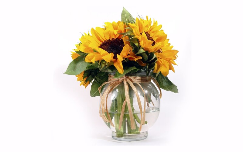 Sunflowers in a Vase — Yellow, Calm, Photograph, Green Leaves, Straw