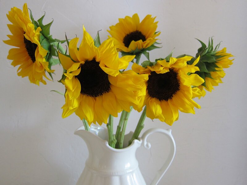Sunflowers in a Vase — Yellow, Calm, Photograph, Green Stems
