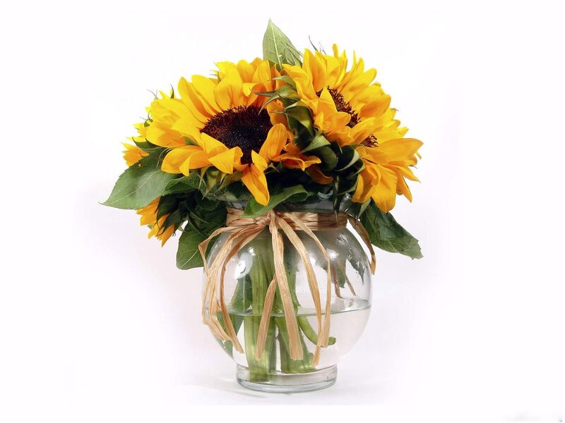 Sunflowers in a Vase — Yellow, Calm, Photograph, Leaves, Ribbon