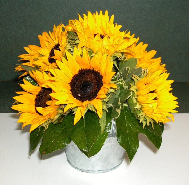 Sunflowers in a Vase — Yellow, Calm, Photograph, Leaves, Table
