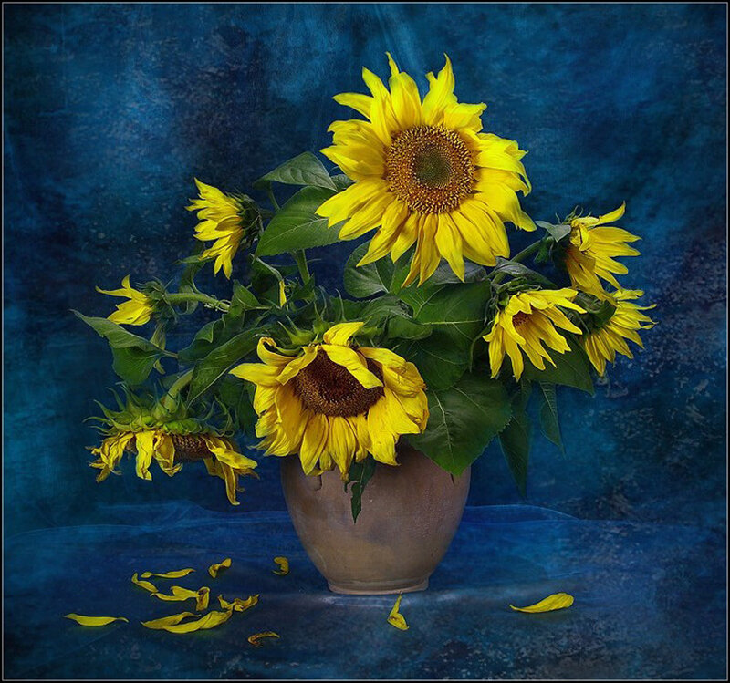 Sunflowers in a Vase — Yellow, Calm, Photograph, Leaves