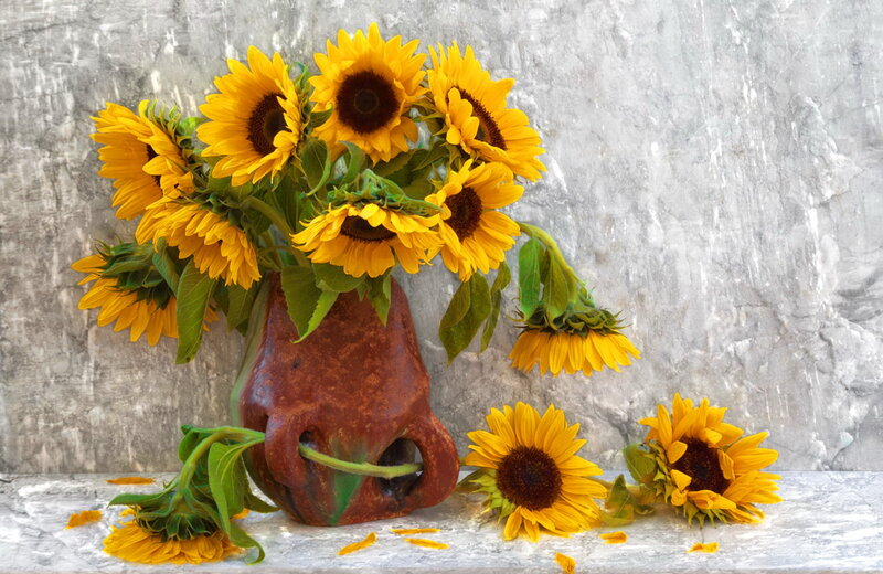 Sunflowers in a Vase — Yellow, Calm, Photograph, Petals
