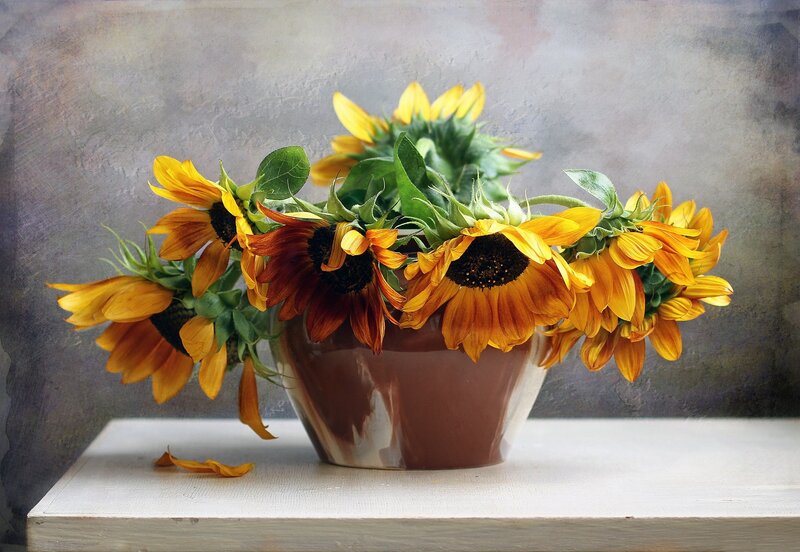 Sunflowers in a Vase — Yellow, Calm, Photograph, Table, Petal