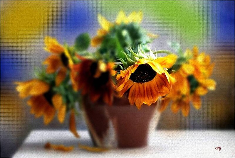 Sunflowers in a Vase — Yellow, Calm, Photograph, Table, Petals