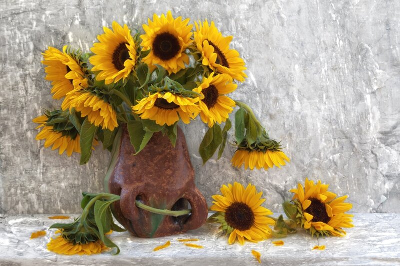 Sunflowers in a Vase — Yellow, Calm, Photograph, Table, Wall