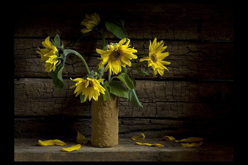 Sunflowers in a Vase — Yellow, Dramatic, Photograph