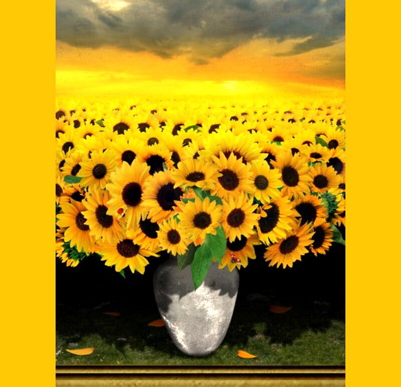 Sunflowers in a Vase — Yellow, Dramatic, Sunset