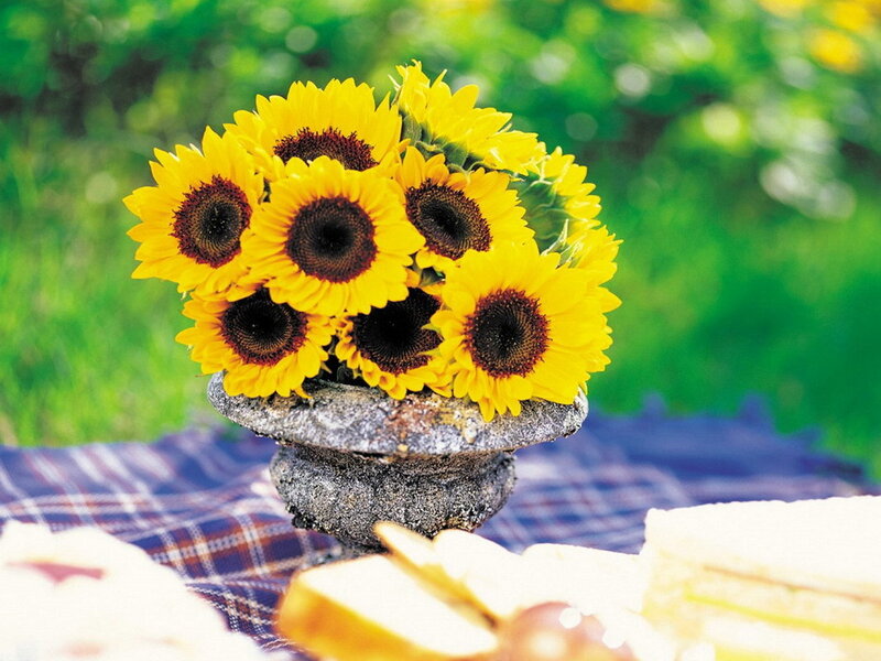 Sunflowers in a Vase — Yellow, Serene, Afternoon, Photograph