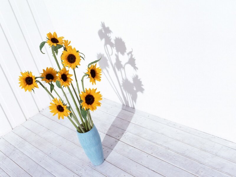 Sunflowers in a Vase — Yellow, Serene, Afternoon, Photograph, Wall