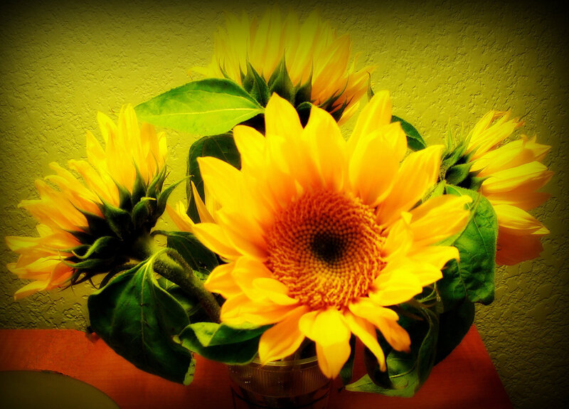 Sunflowers in a Vase — Yellow, Warm
