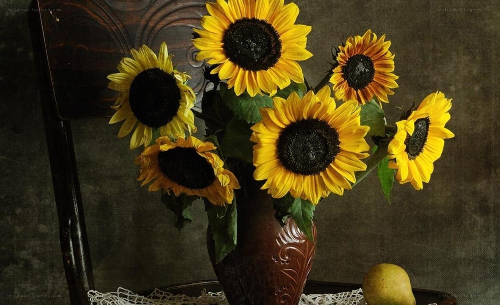 Sunflowers in a vase