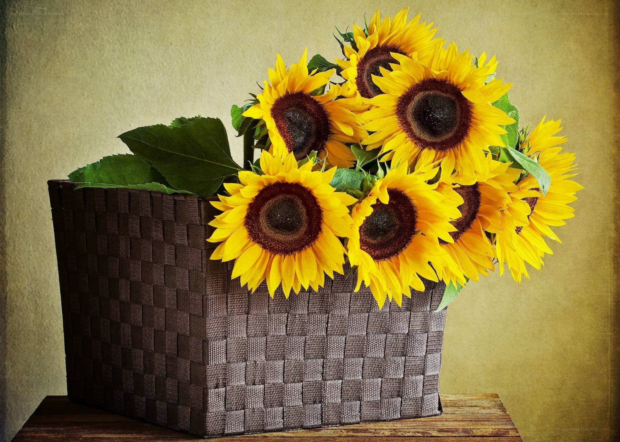 Sunflowers in a woven basket