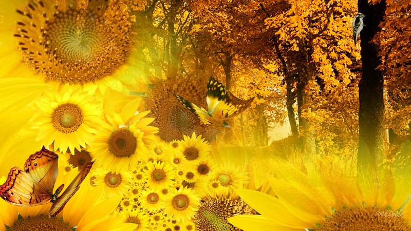 Sunflowers in Autumn