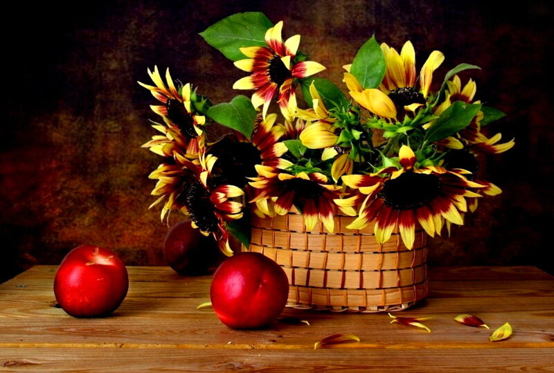 Sunflowers in Basket — Yellow, Dramatic, Autumn