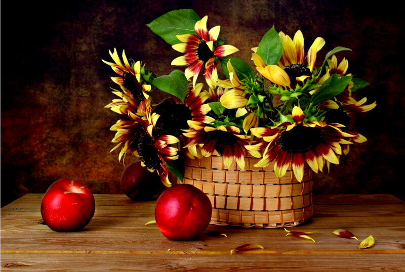 Sunflowers in Basket — Yellow, Dramatic