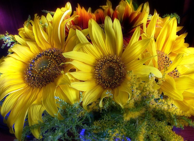 Sunflowers in Bouquet