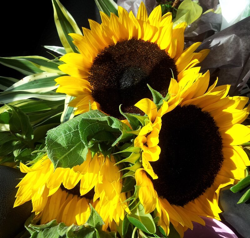 Sunflowers in Bouquet — Yellow, Bright, Afternoon
