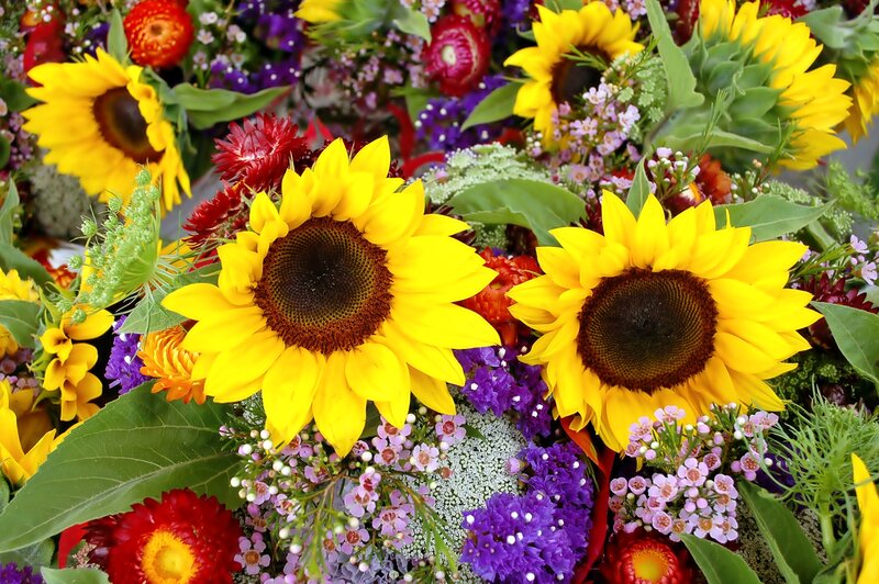 Sunflowers in Bouquet — Yellow, Vibrant